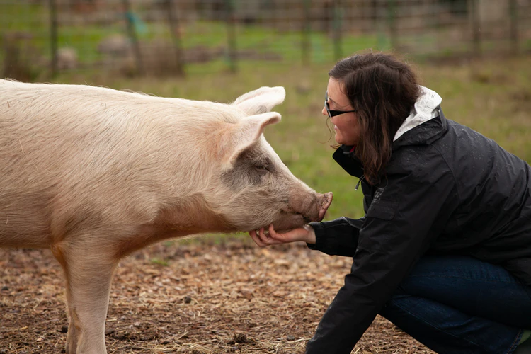 Volunteering and spending time with animals: Is it good for your heart and  health? - Juliana's Animal Sanctuary