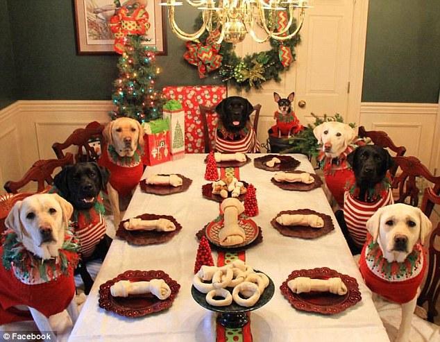 Best Dog Christmas Presents